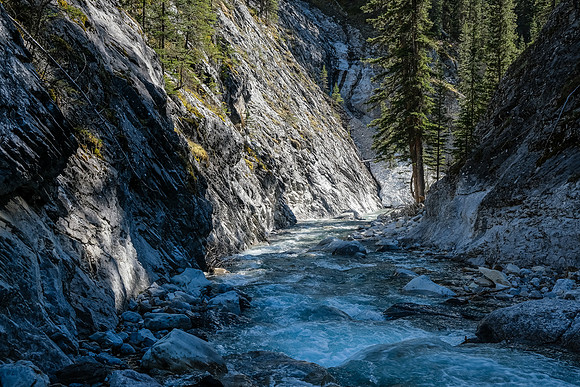 Exiting the creek - note the snow blocking it ahead. We walked over it.