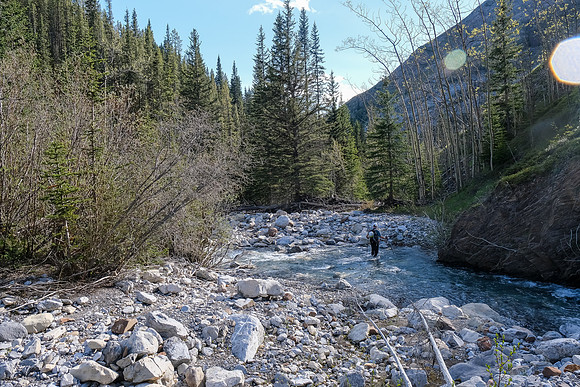 Nearing the Stony Creek Trail again.