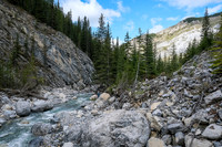 Hiking up the access creek. There are lots of diversions and bushwhacking sections along it.