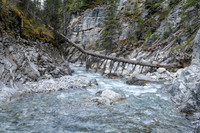 Creek scenery.