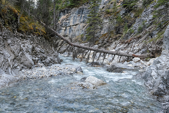 Creek scenery.