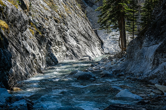 Exiting the creek - note the snow blocking it ahead. We walked over it.