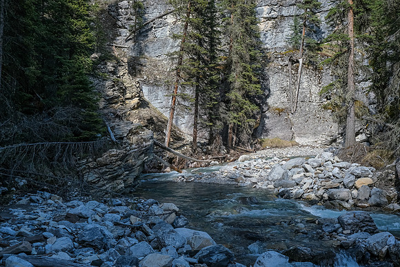 Exiting the creek.