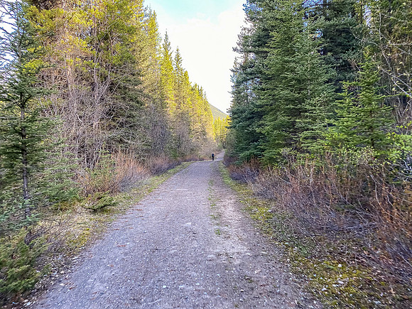 Biking up the Cascade fire road.