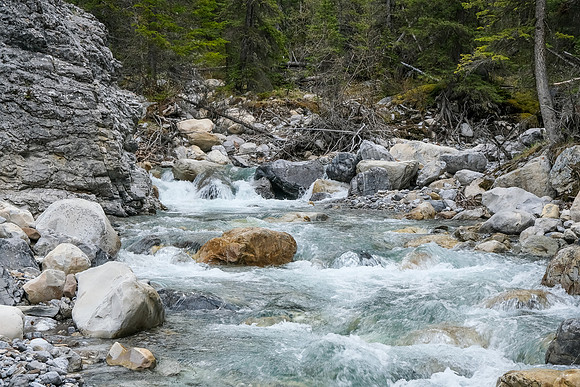 Creek scenery.