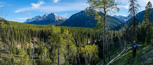 On Stony Creek Trail with views over the creek to Cascade and Elaphus.