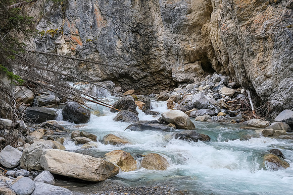 Creek scenery.