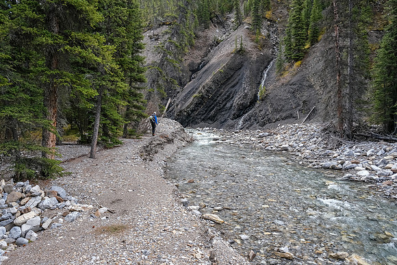 Hiking up the access creek towards an interesting coal seam.
