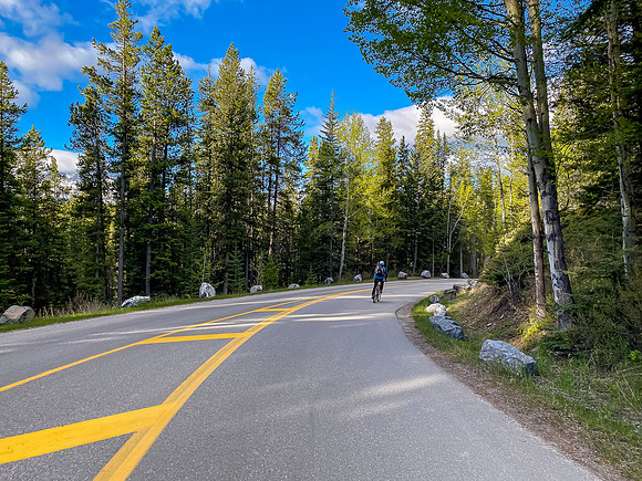 Starting along the Lake Minnewanka drive towards the Cascade fire road.