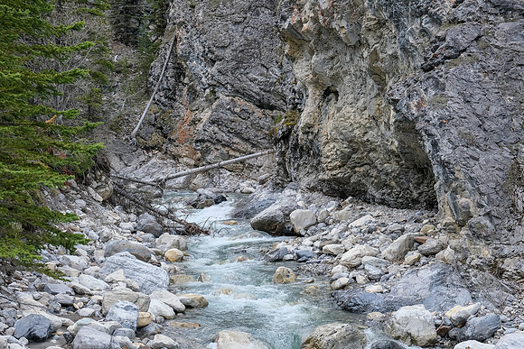Hiking up the access creek.