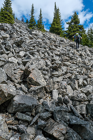 The SW slopes get rubbly after a few hundred vertical in the forest.
