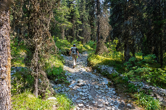 Hiking back on the Forty Mile Creek trail.