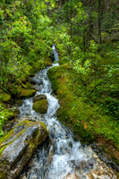 We hiked up along this creek (left) before veering away from it (left).