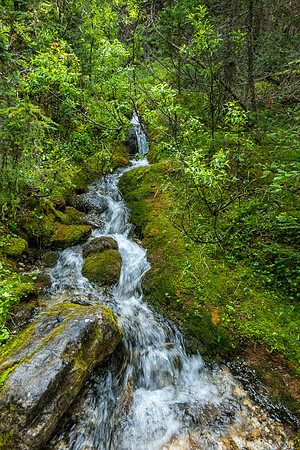 We hiked up along this creek (left) before veering away from it (left).