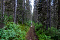 Starting the long trek up Forty Mile Creek.