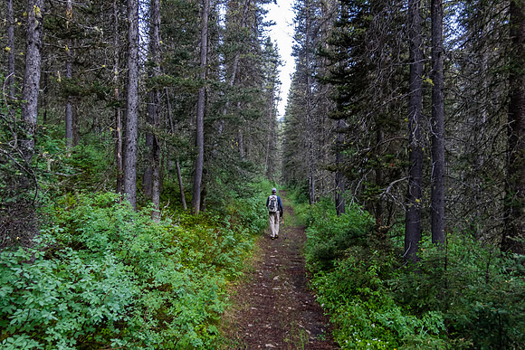 Starting the long trek up Forty Mile Creek.