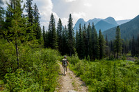 Hiking back on the Forty Mile Creek trail.