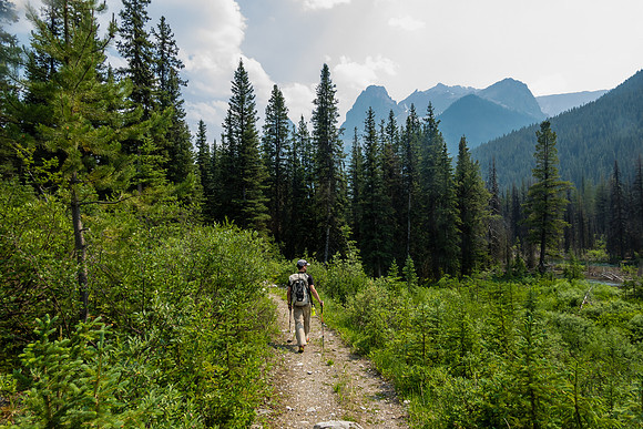 Hiking back on the Forty Mile Creek trail.