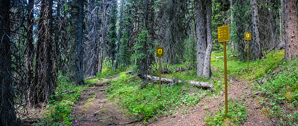 Back on the Forty Mile Creek trail.