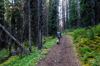Hiking the Forty Mile Creek trail.