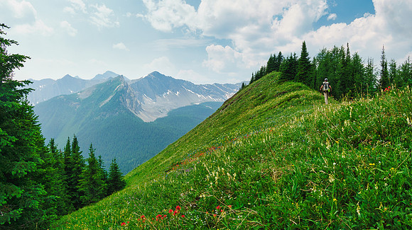 Carpets of wildflowers on the descent.