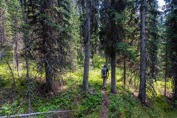 Hiking the bypass trail.