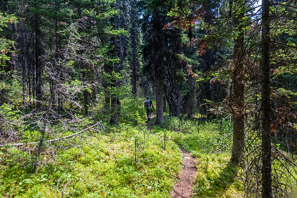 Hiking the bypass trail.
