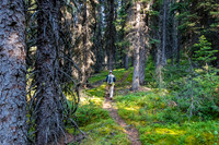 Hiking the Forty Mile Creek hiker bypass trail.