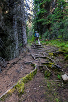 Hiking the Forty Mile Creek trail.