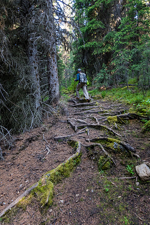 Hiking the Forty Mile Creek trail.