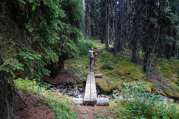 Back on the bypass trail to the Forty Mile Creek trail.