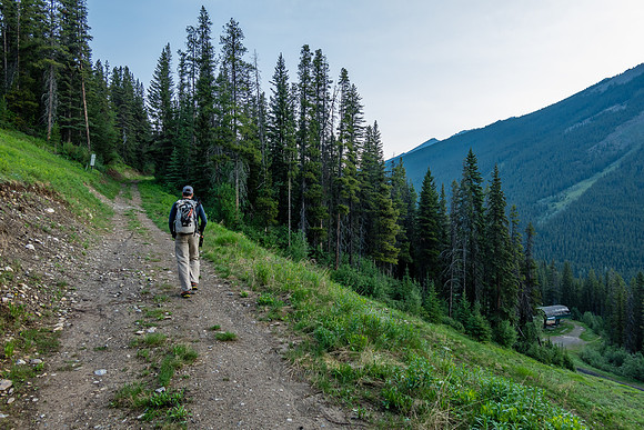 Hiking through the ski resort towards the Forty Mile Creek trail.