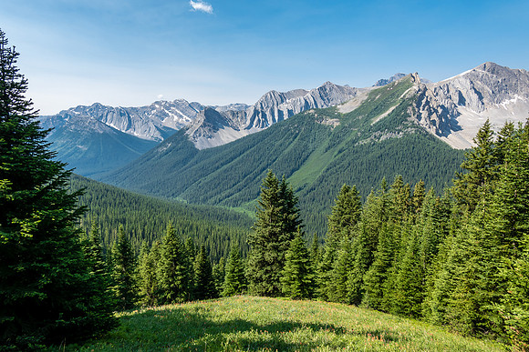 Hiking up a mix of forest, grasses and wildflowers. Views back down Forty Mile Creek.