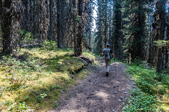 Hiking back on the Forty Mile Creek trail.