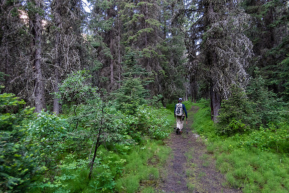 Hiking the Forty Mile Creek trail.