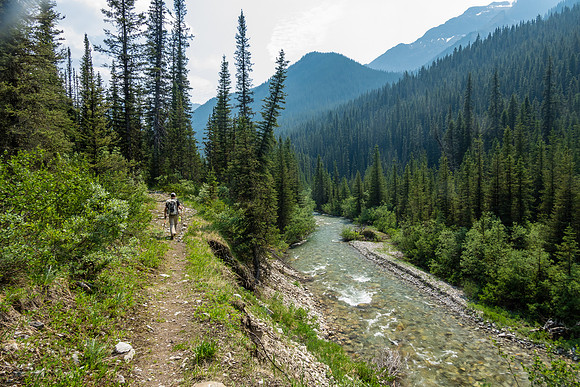 Hiking back on the Forty Mile Creek trail.