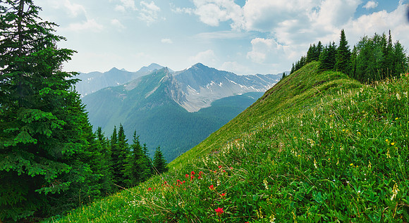 Carpets of wildflowers on the descent.