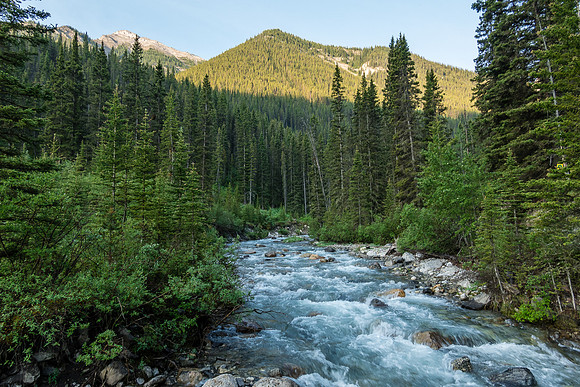 Crossing Forty Mile Creek.
