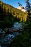 Hiking the Forty Mile Creek trail.