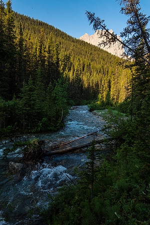 Hiking the Forty Mile Creek trail.