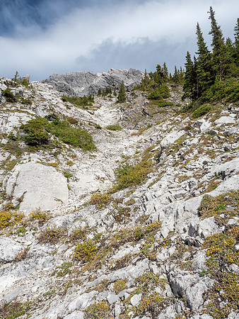 We should have trended up the left hand gully above, instead we went right and ended up on the SW ridge.