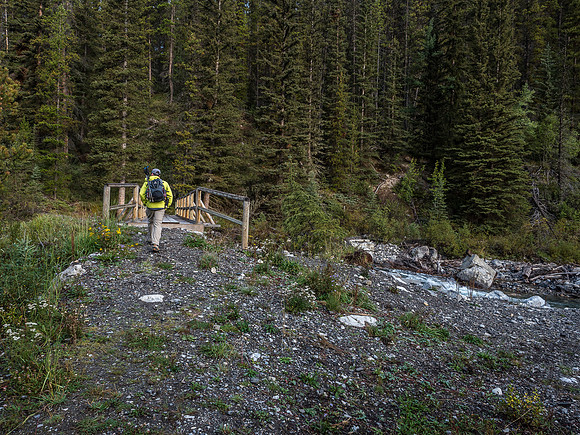 The only bridge crossing along the approach trail.