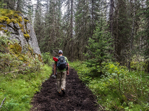 The 40 Mile Creek trail is soft and luxurious compared to hours of scree and slab - not to mention the almost 1900m of elevation we've already done today!