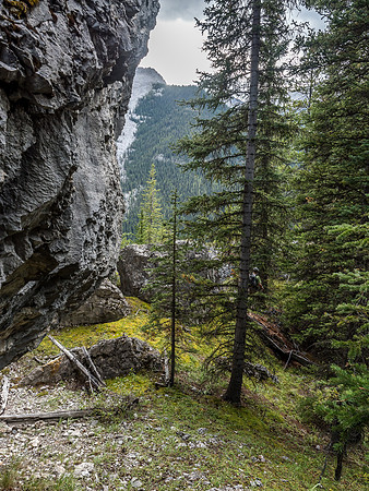 Cool scenery around the big boulder - it's really big.