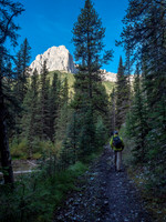 A gorgeous late-summer hike along the creek.