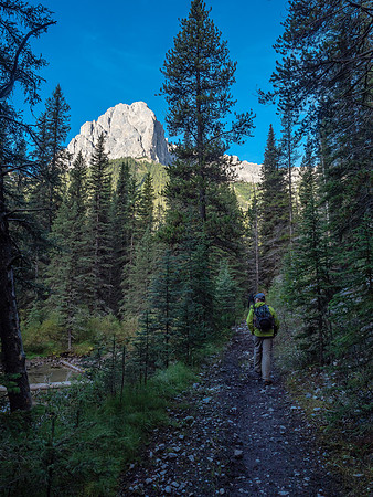 A gorgeous late-summer hike along the creek.