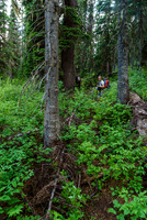 Believe it or not, we're still on a trail.