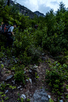 Not obvious in the photo, but the trail up the first avy path is fairly distinct.