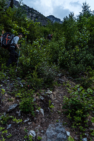 Not obvious in the photo, but the trail up the first avy path is fairly distinct.