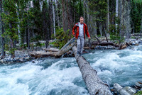This log was key in crossing the raging washout near the end of the drivable road.